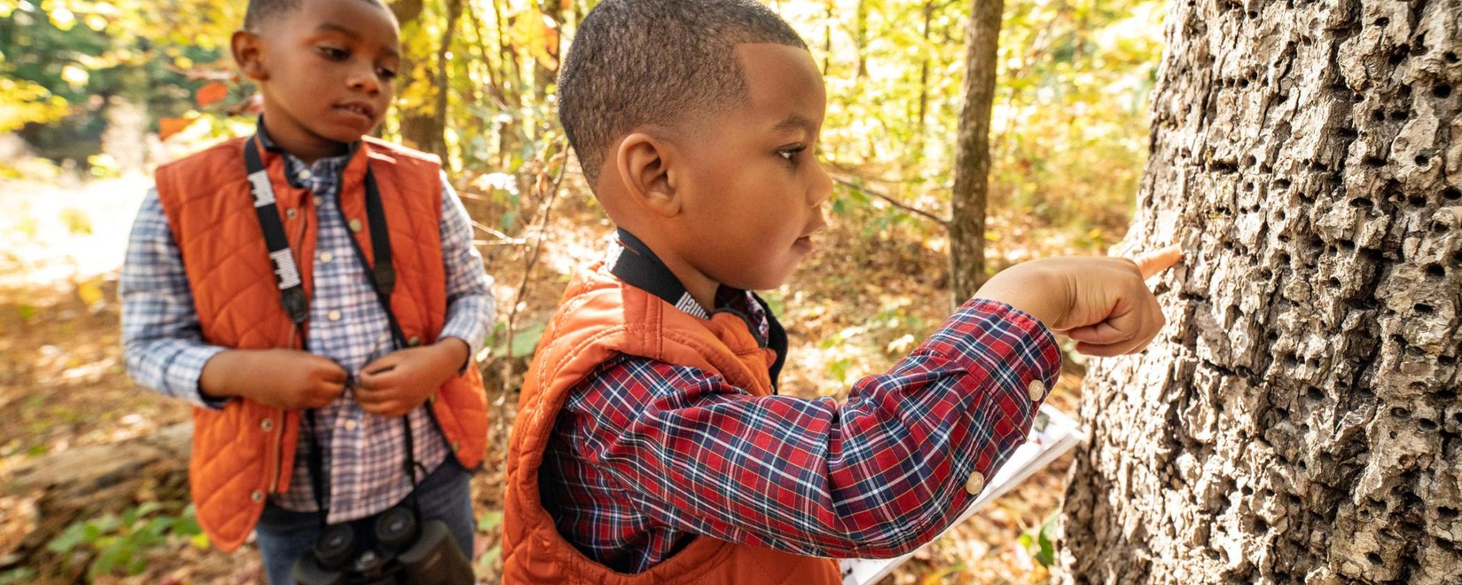 Spring Break Arkansas State Parks